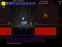 Terraria играть по сети и интернету Онлайн / Лан